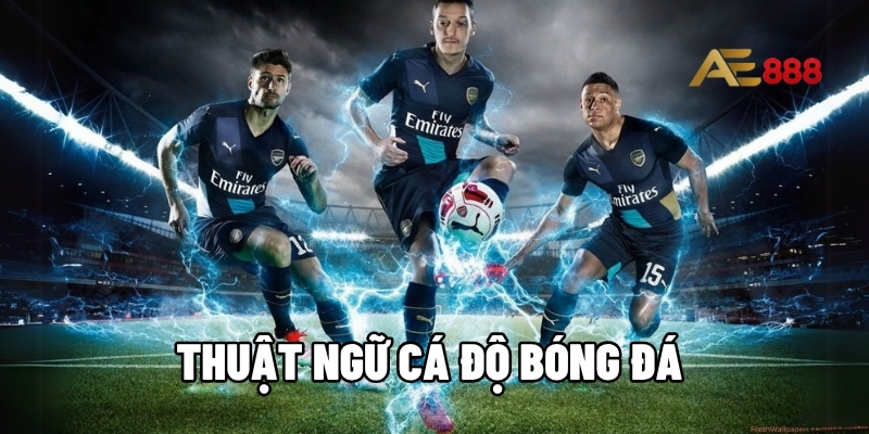 thuật ngữ cá độ bóng đá